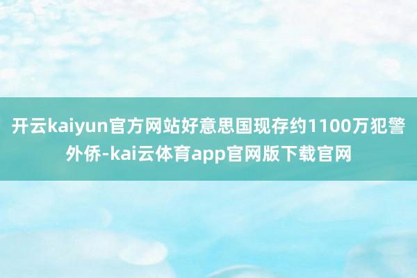 开云kaiyun官方网站好意思国现存约1100万犯警外侨-kai云体育app官网版下载官网